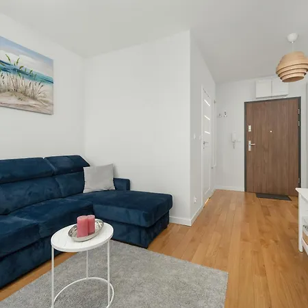 Rent Like - Gwiazdzista 20 *